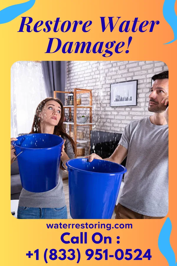 water restoration Ideal Flood Professionals Bayou Vista