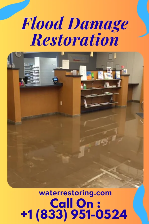 Flood Damage Restoration in Bayou Vista, LA