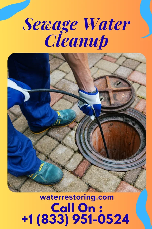 Sewage Water Cleanup in Bayou Vista, LA